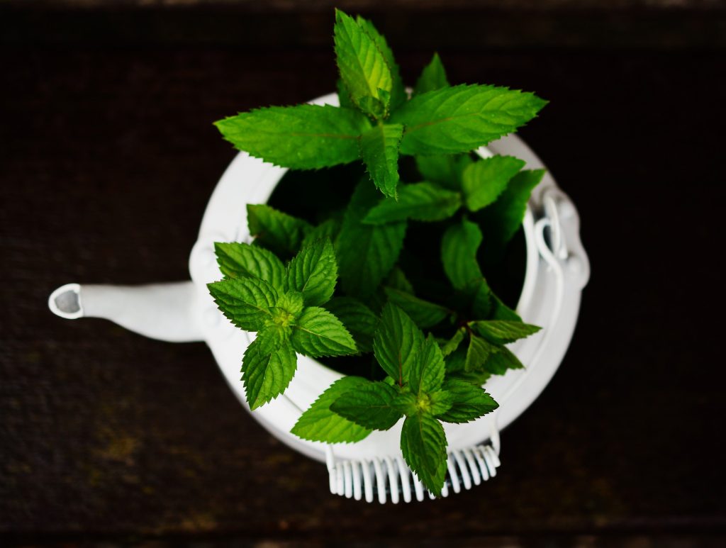 Breastfeeding diet 101: foods to avoid when breastfeeding - peppermint and parsley #breastfeedingtips