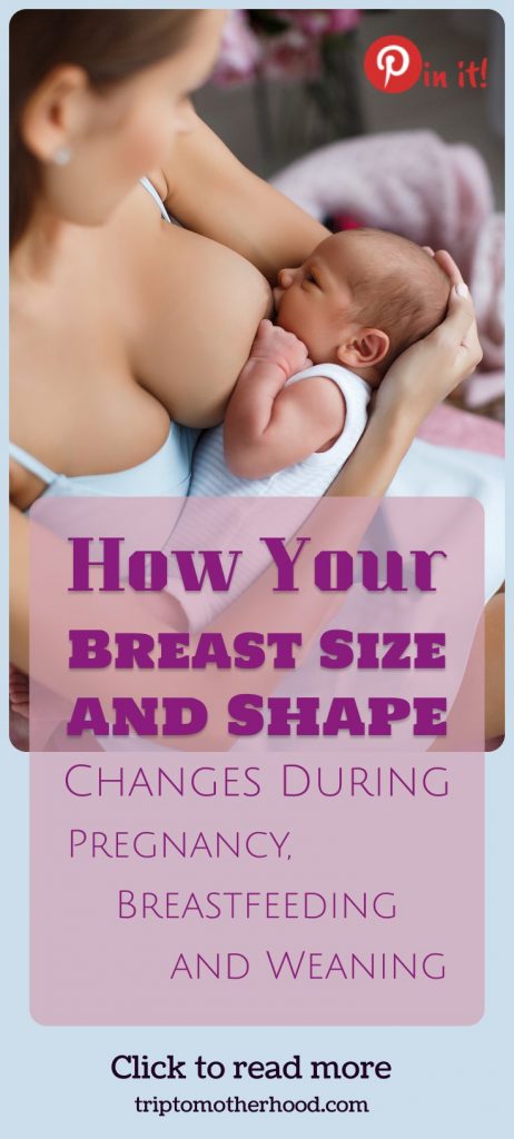 How Your Breast Changes During Pregnancy Breastfeeding And Weaning